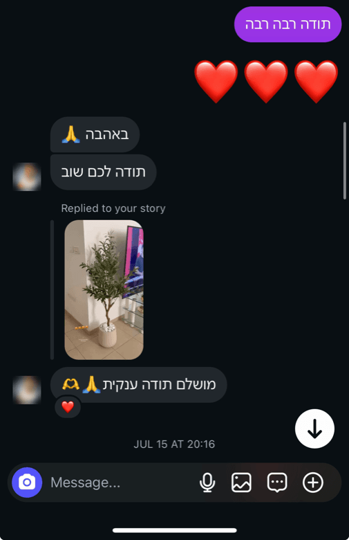 שיחת אינסטגרם: מושלם, תודה ענקית — עם תמונת העץ בסלון